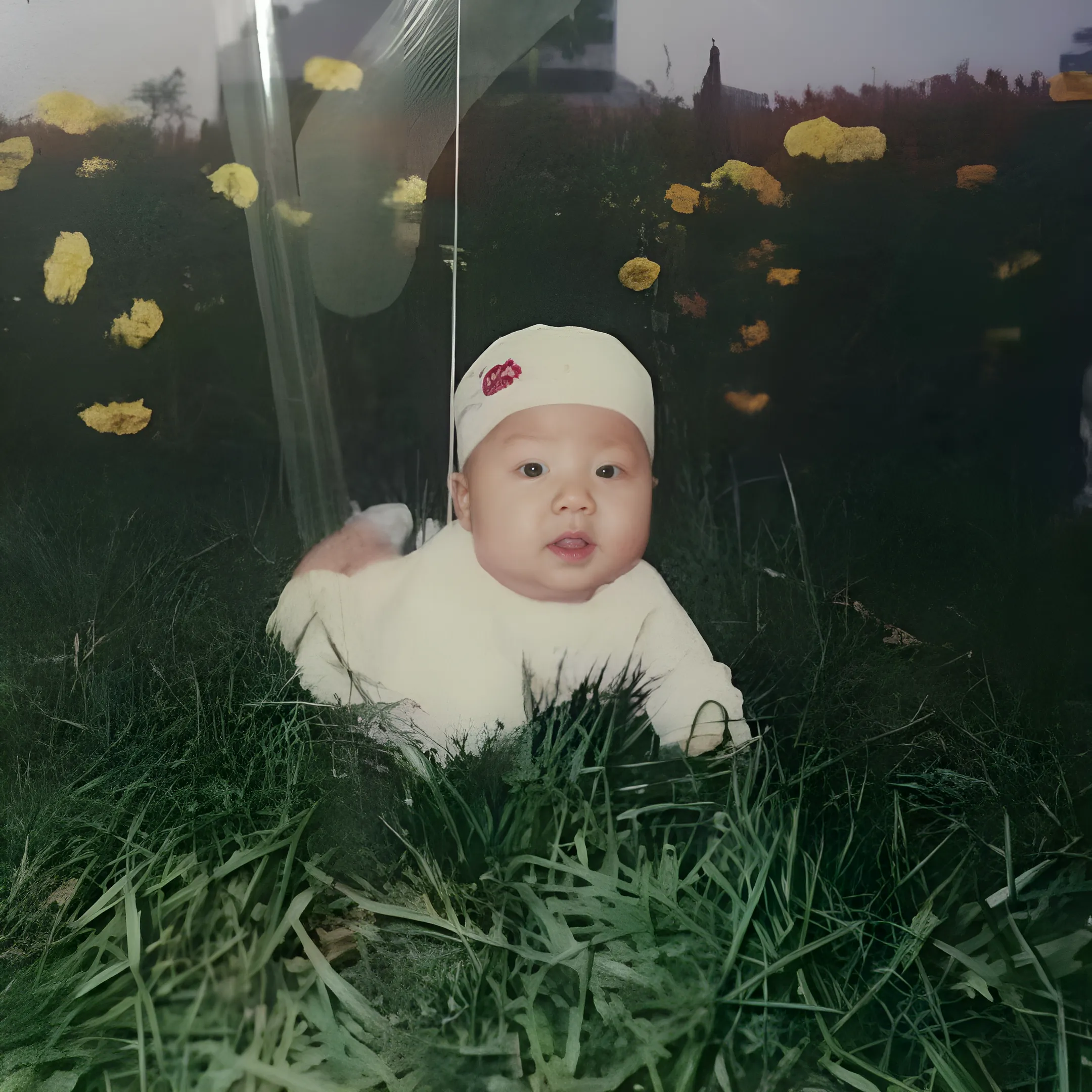 잔디 위 아기 사진, 2000년경 - 복원 후
